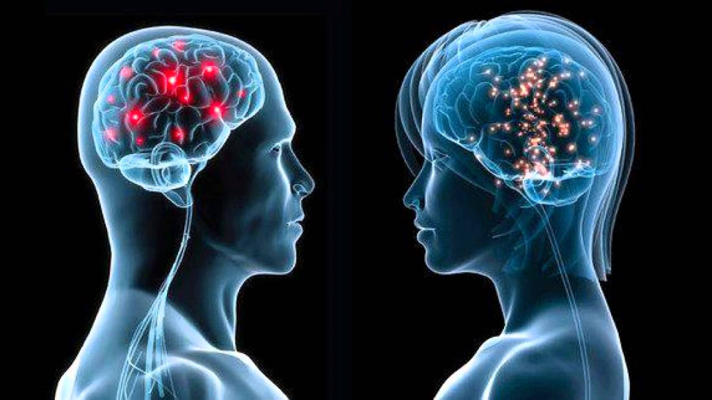 Gender Difference Intelligence Coaching